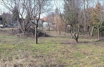 Eladó Gödöllői lakóövezeti telek hirdetés (77423414)