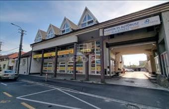 Kiadó Székesfehérvári egyéb üzlethelyiség hirdetés (53795732)