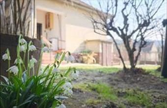 Eladó Csatári családi ház hirdetés (27874985)