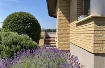 Eladó Piliscsabai családi ház hirdetés (73344228)