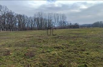 Eladó Tiszafüredi külterületi telek hirdetés (57748437)