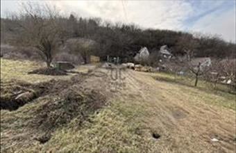 Eladó Adonyi külterületi telek hirdetés (13734334)