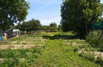 Eladó Győrújbaráti lakóövezeti telek hirdetés (66216899)