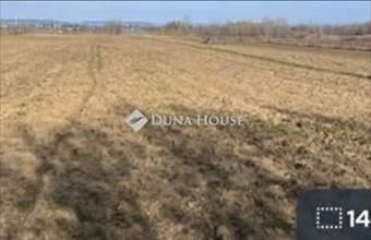 Eladó Balatonlellei termőföld, szántó hirdetés (79248849)