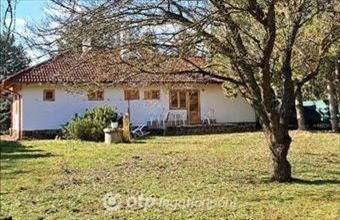 Eladó Balatonakarattyai családi ház hirdetés (45543753)