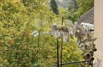 Eladó Budapest II. kerületi családi ház hirdetés (97633477)