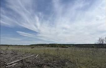 Eladó Gödöllői külterületi telek hirdetés (62381343)