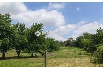 Eladó Törökbálinti külterületi telek hirdetés (39722233)