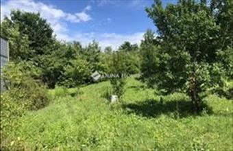 Eladó Budapest XI. kerületi egyéb telek hirdetés (84375194)