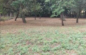 Eladó Óbaroki lakóövezeti telek hirdetés (17383547)