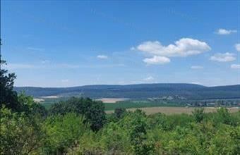 Eladó Héregi egyéb mezőgazdasági ingatlan hirdetés (89758429)