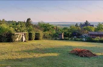 Eladó Pátyi egyéb mezőgazdasági ingatlan hirdetés (79891955)