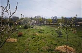 Eladó Csopaki lakóövezeti telek hirdetés (72787944)