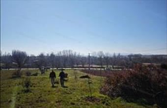 Eladó Csopaki lakóövezeti telek hirdetés (72787944)