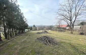 Eladó Őrbottyáni lakóövezeti telek hirdetés (45698297)