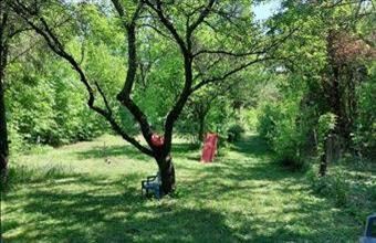 Eladó Budakeszi egyéb telek hirdetés (49423354)