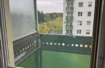 Kiadó Debreceni panel lakás hirdetés (16383544)