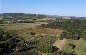 Eladó Káptalantóti hétvégi ház hirdetés (49365628)