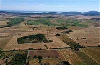 Eladó Köveskáli külterületi telek hirdetés (32545493)