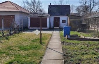 Eladó Vajszlói családi ház hirdetés (26739377)
