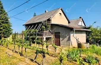 Eladó Beleznai hétvégi ház hirdetés (47927537)