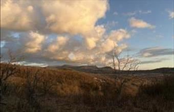 Eladó Esztergomi egyéb telek hirdetés (77876364)