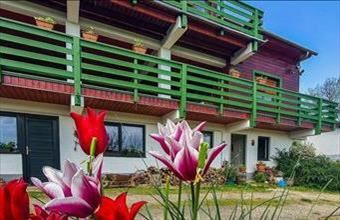 Eladó Lispeszentadorjáni hotel, szálloda, panzió hirdetés (44548574)