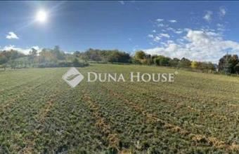 Eladó Nyúli külterületi telek hirdetés (49717693)