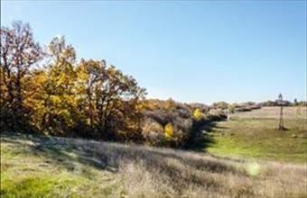 Eladó Szentkirályszabadjai fejlesztési ipari terület hirdetés (25745223)