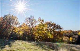 Eladó Szentkirályszabadjai fejlesztési ipari terület hirdetés (87924944)