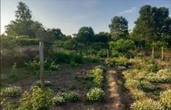 Eladó Hajdúsámsoni lakóövezeti telek hirdetés (29936375)