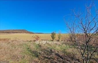 Eladó Pilisborosjenői lakóövezeti telek hirdetés (35934456)