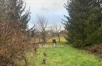 Eladó Nyíregyházai külterületi telek hirdetés (48952471)