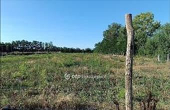 Eladó Nyíregyházai külterületi telek hirdetés (39935467)