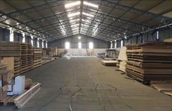 Kiadó Ócsai pince, présház hirdetés (33754777)