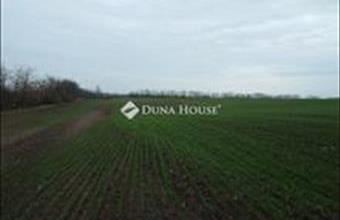 Eladó Bényei külterületi telek hirdetés (64733551)