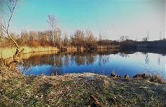 Eladó Károlyházai egyéb mezőgazdasági ingatlan hirdetés (77324524)