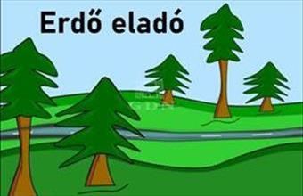 Eladó Hajdúnánási termőföld, szántó hirdetés (34424583)