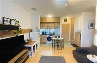 Kiadó Miskolci egyéb lakás hirdetés (48639945)