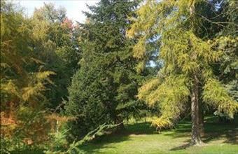 Eladó Barcsi családi ház hirdetés (55745997)