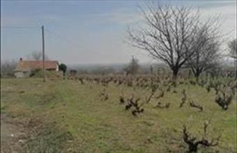 Eladó Simontornyai zártkert hirdetés (58454537)