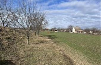 Eladó Polgárdi egyéb mezőgazdasági ingatlan hirdetés (87777538)