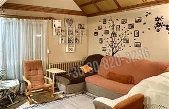 Eladó Naszályi családi ház hirdetés (33859755)