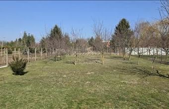 Eladó Győrújbaráti lakóövezeti telek hirdetés (18854734)