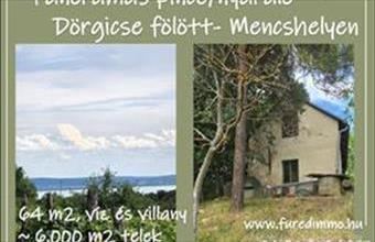Eladó Mencshelyi hétvégi ház hirdetés (54326184)