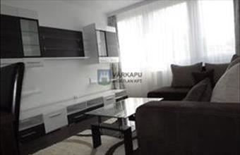 Kiadó Székesfehérvári egyéb lakás hirdetés (97387851)