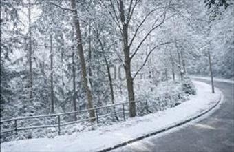 Eladó Budapest XII. kerületi lakóövezeti telek hirdetés (54523433)