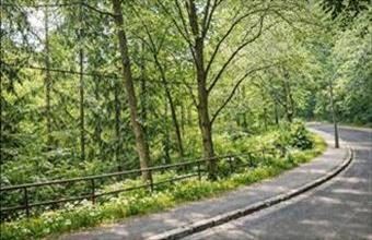 Eladó Budapest XII. kerületi lakóövezeti telek hirdetés (54523433)