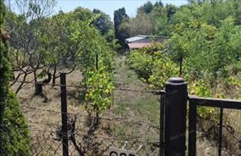 Eladó Újbaroki hétvégi ház hirdetés (36244835)