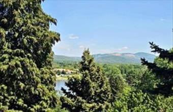 Eladó Visegrádi hétvégi ház hirdetés (73727935)